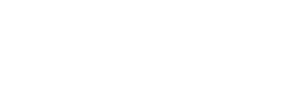 logo-boston-medical-center-south