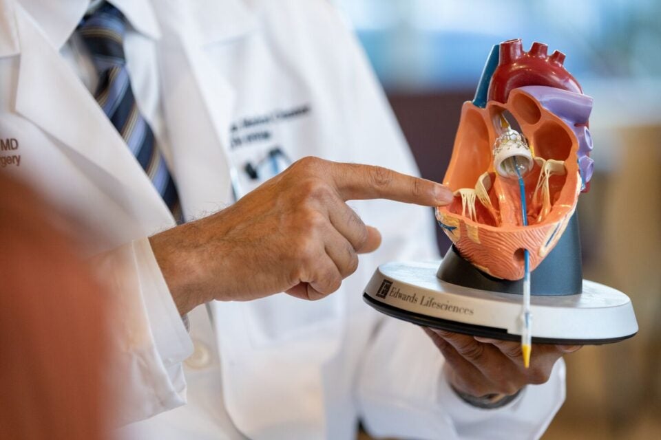 Dr Agnihotri points at life-like heart diagram.
