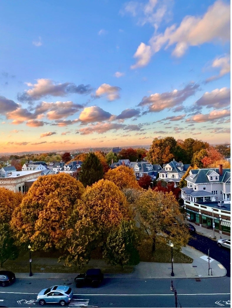 View from the window of the Intensive Care Unit (ICU) at BMC Brighton, showing an idyllic New England residential neighborhood, trees changing colors for autumn, and an evening sky